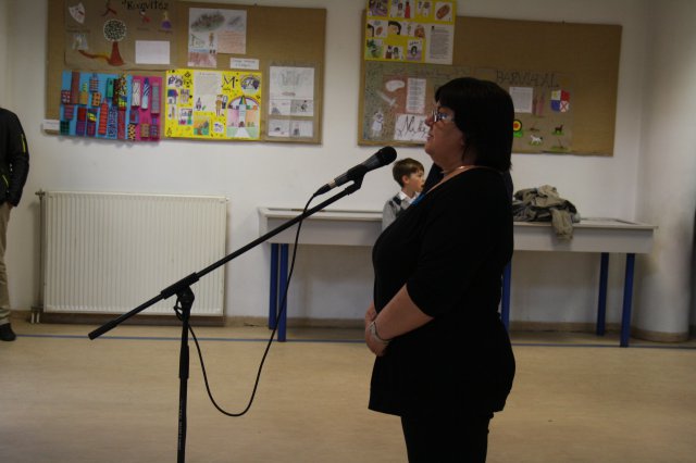 Megyei helyesírási verseny